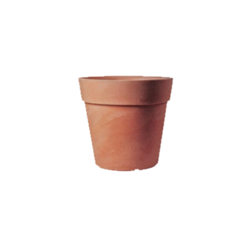 Vaso Elite