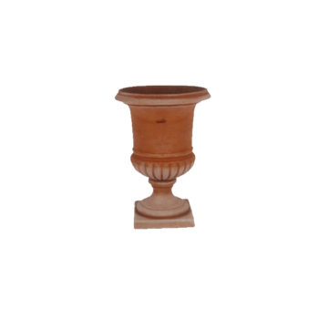 Vaso Vanvitelli