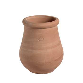 Orcio Brunello
