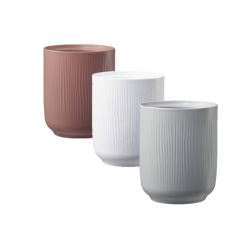 Vaso Falun