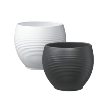 Vaso Manacor