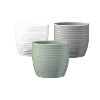 Vaso Bergamo