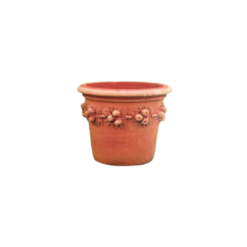CONCA CAMELIA