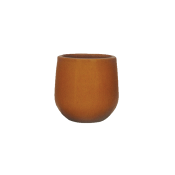 Vaso Nha Trang Falling Mustard