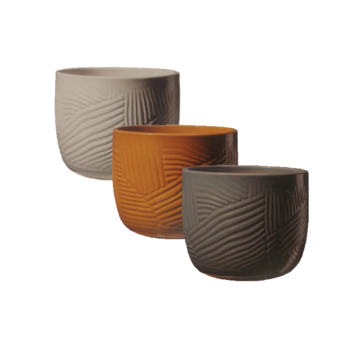 Vaso Leon